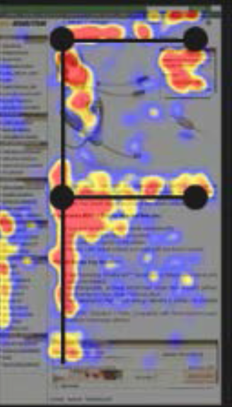 Parcours de l'œil humain